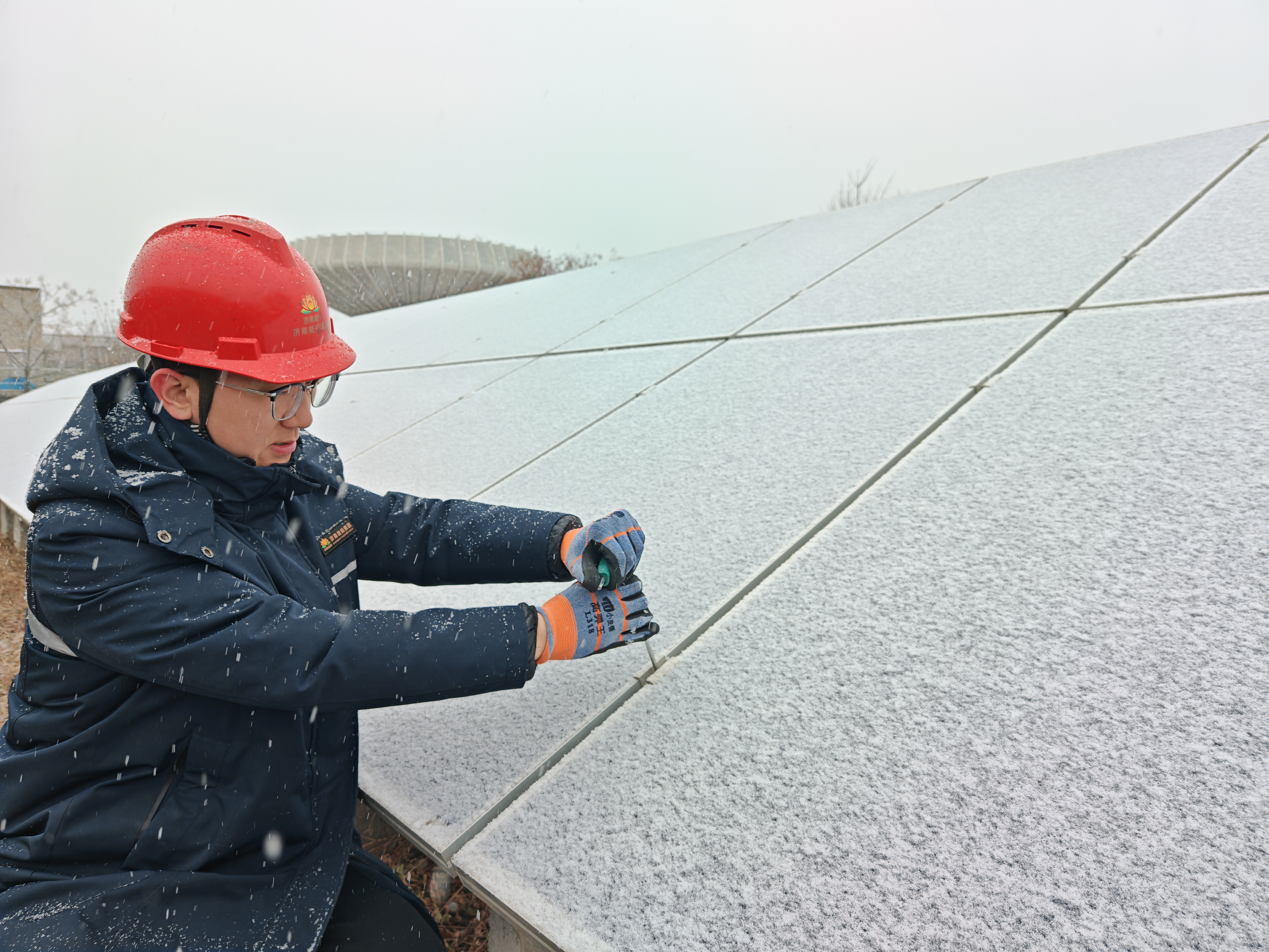 大发国际(中国区) - 官方网站
