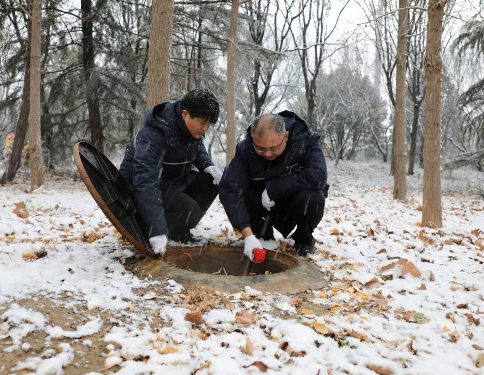 大发国际(中国区) - 官方网站