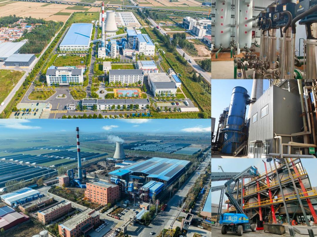 大发国际(中国区) - 官方网站